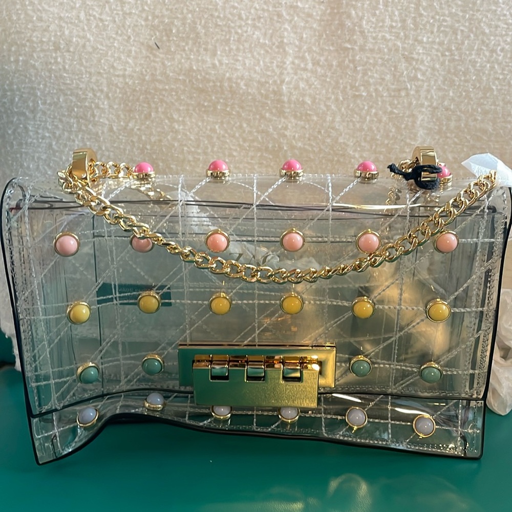 Zac Posen clear bag